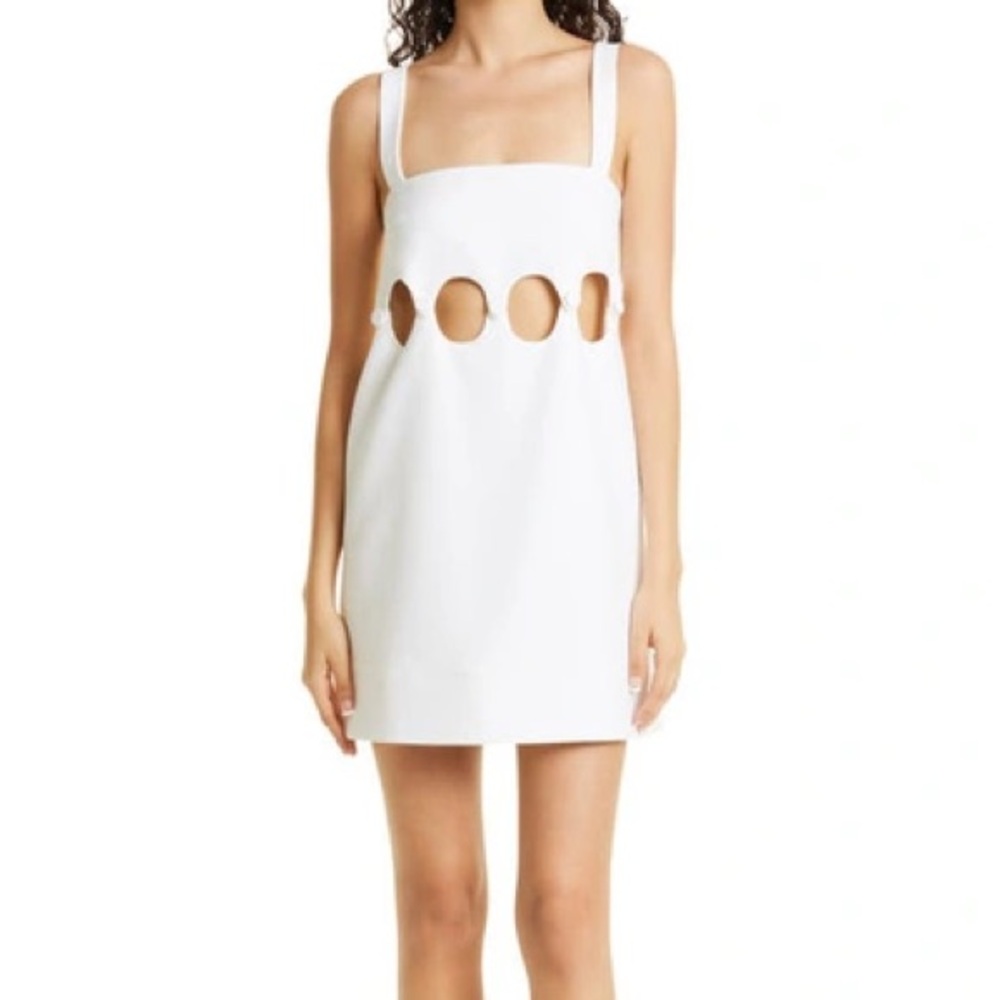 ALEXIS
Baring Cutout Dress In Blanche